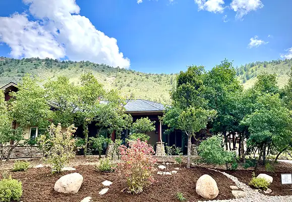 Landscaped yard with mulch, boulders, and trees
