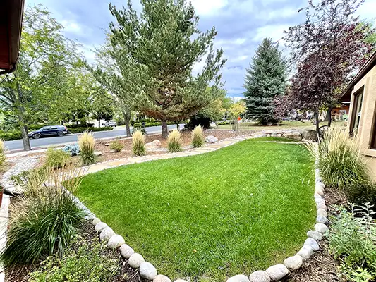 GRasses and lawn landscaped in Durango